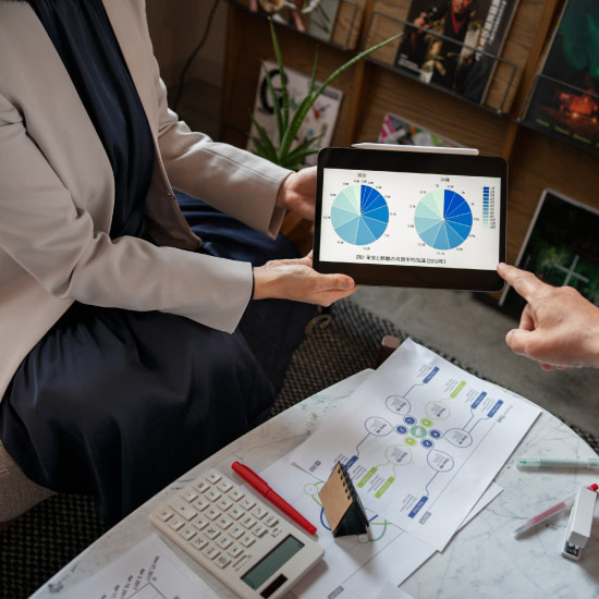 business-intelligence-what-we-did