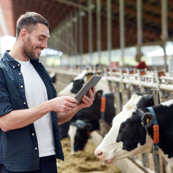 AI execution for dairy robot management system