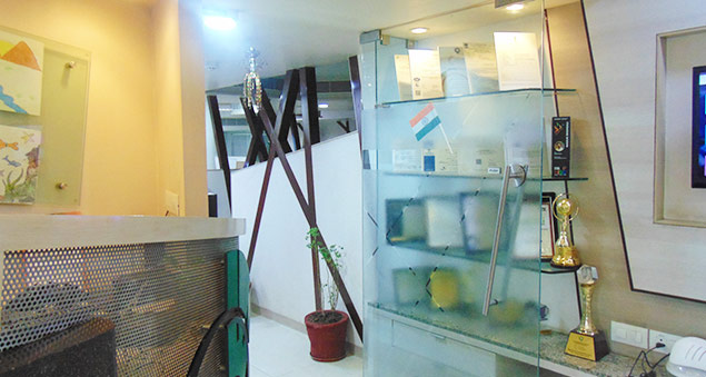 team celebrating independence day 2022 with flag hoisting and patriotic spirit