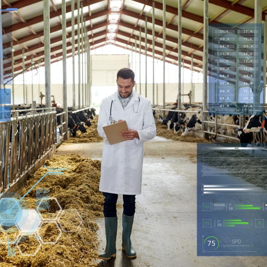 mis-system-what-we-did