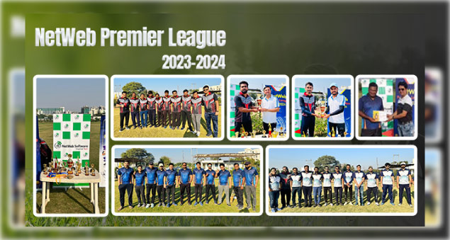 employees playing cricket during netweb premier league 2023 to 2024