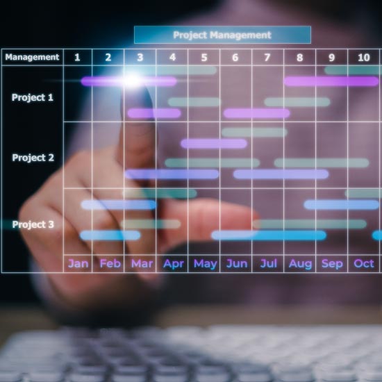 project-management-what-we-did